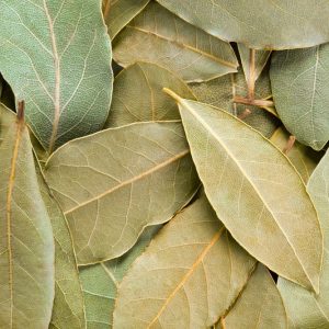 HOJA DE LAUREL LB
