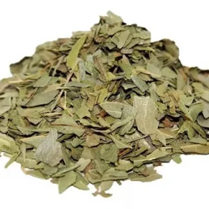 HOJA DE BOLDO LB