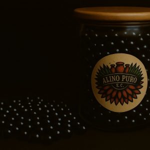 CHOCO MENTA