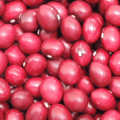 FREJOL BOLON ROJO LB