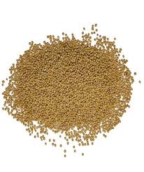 MOSTAZA EN GRANO LB