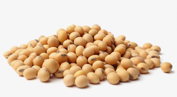 SOYA EN GRANO LB