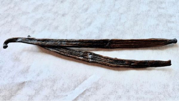 VAINA VANILLA
